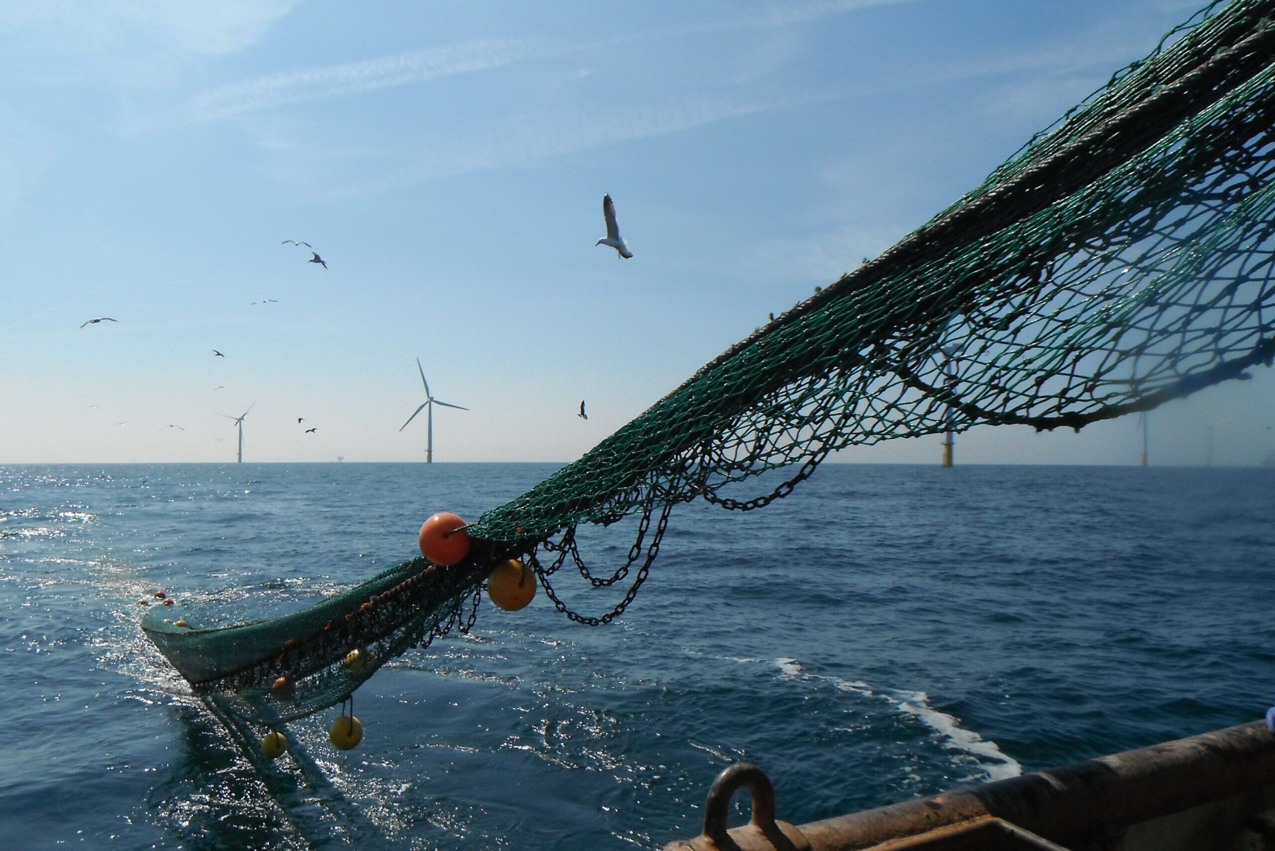Photomontage parc éolien en mer Manche Normandie